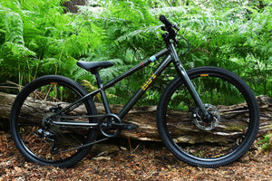 HOY Pentland 24 black bike resting against a log with green ferns in the background.