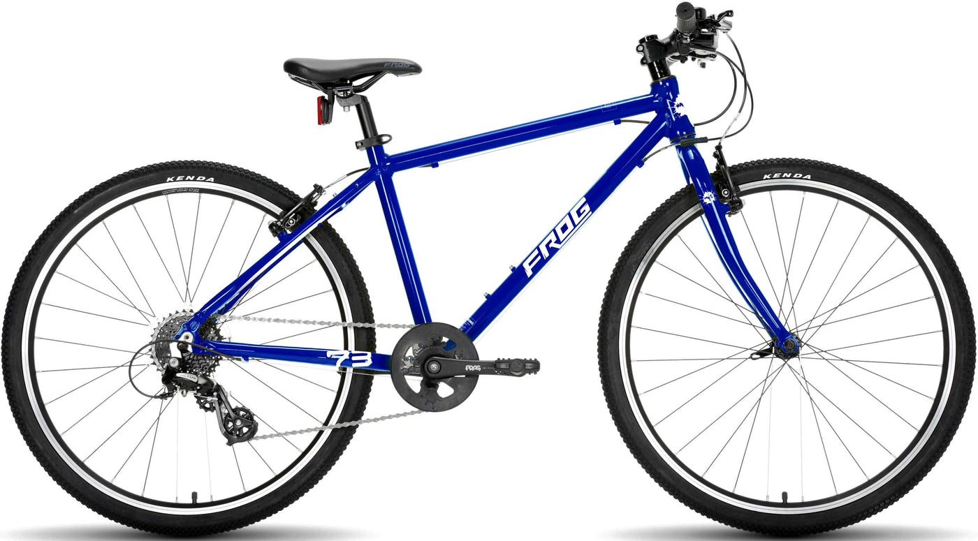 fat bike 2021