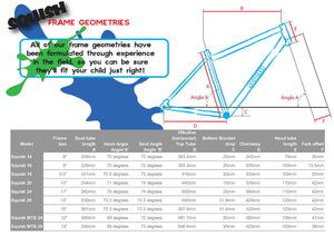 Squish frame geometry information.
