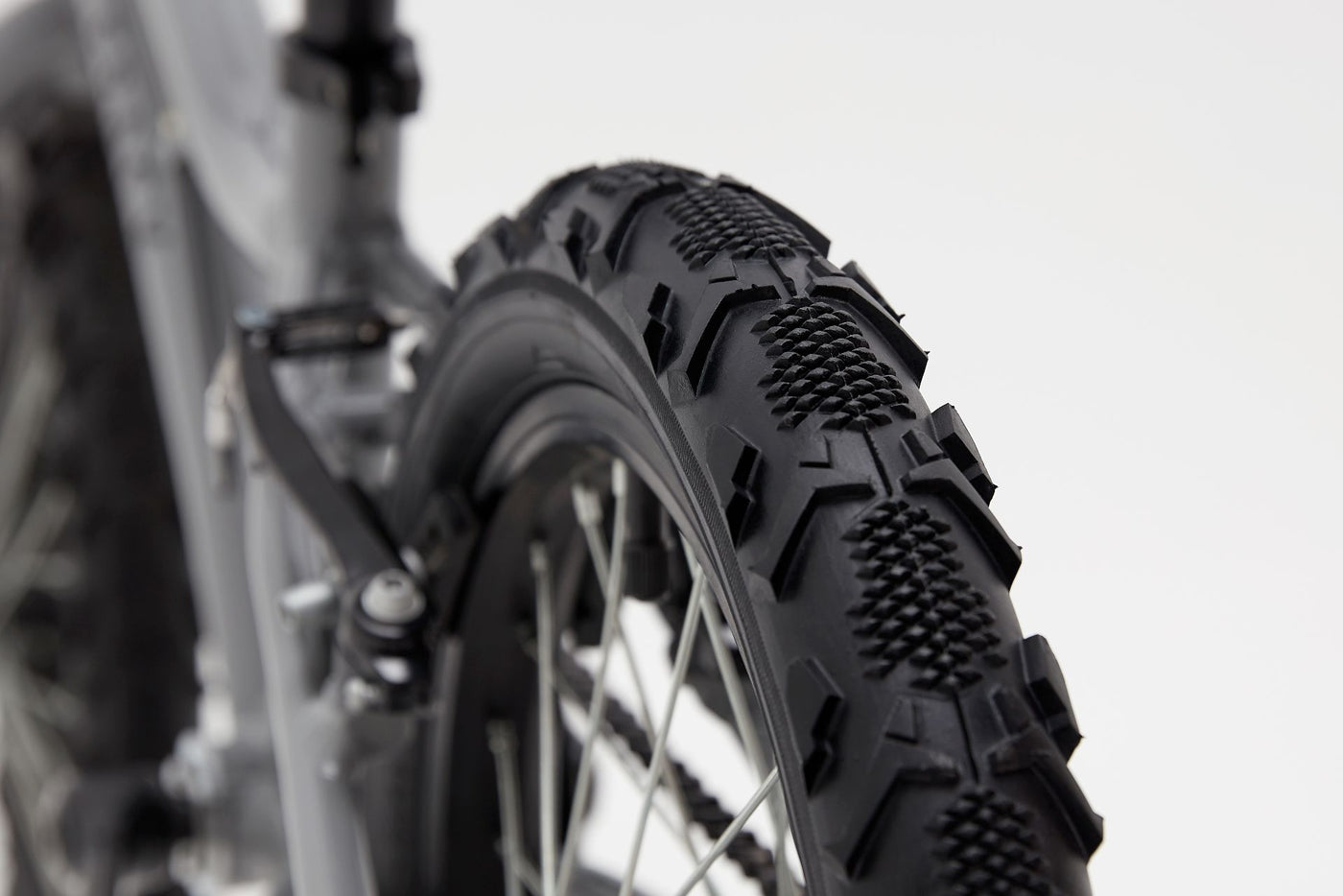 ridgeback mx16 age