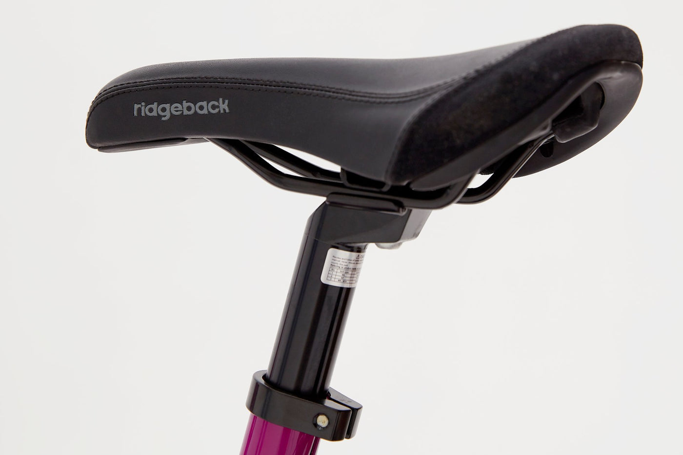 Ridgeback girls bike online