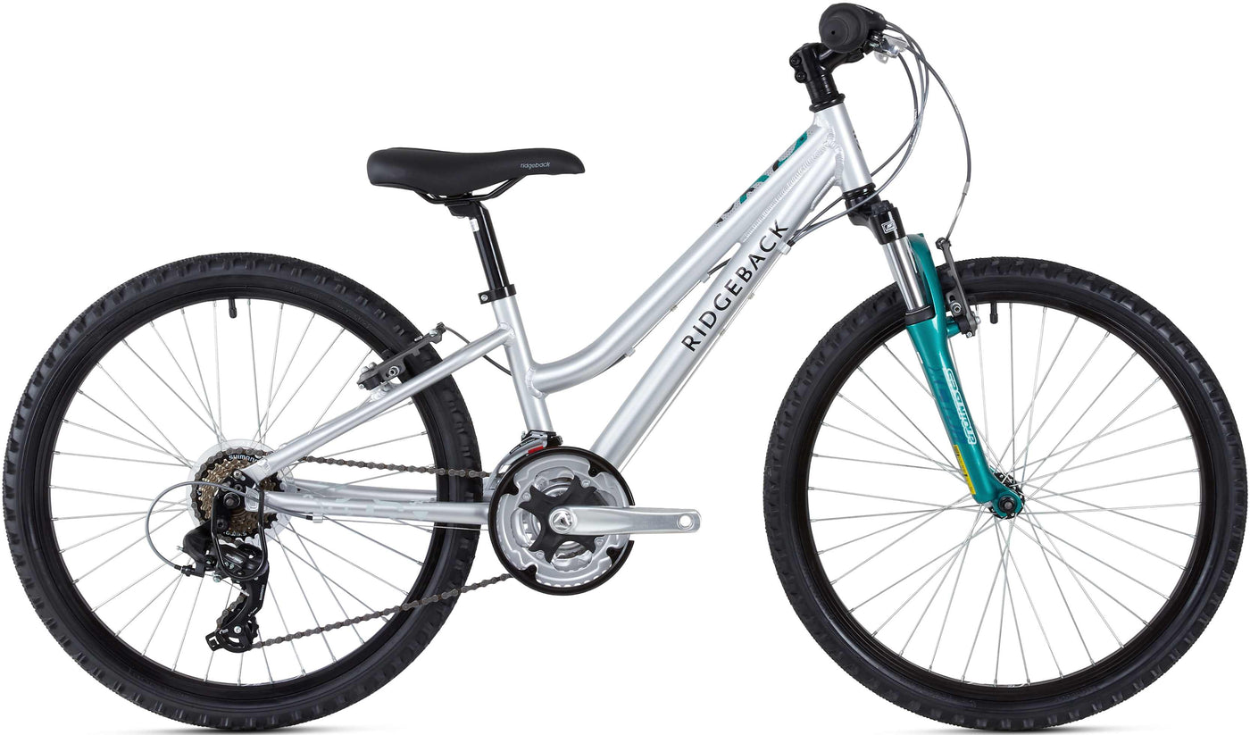 silver ridgeback bike