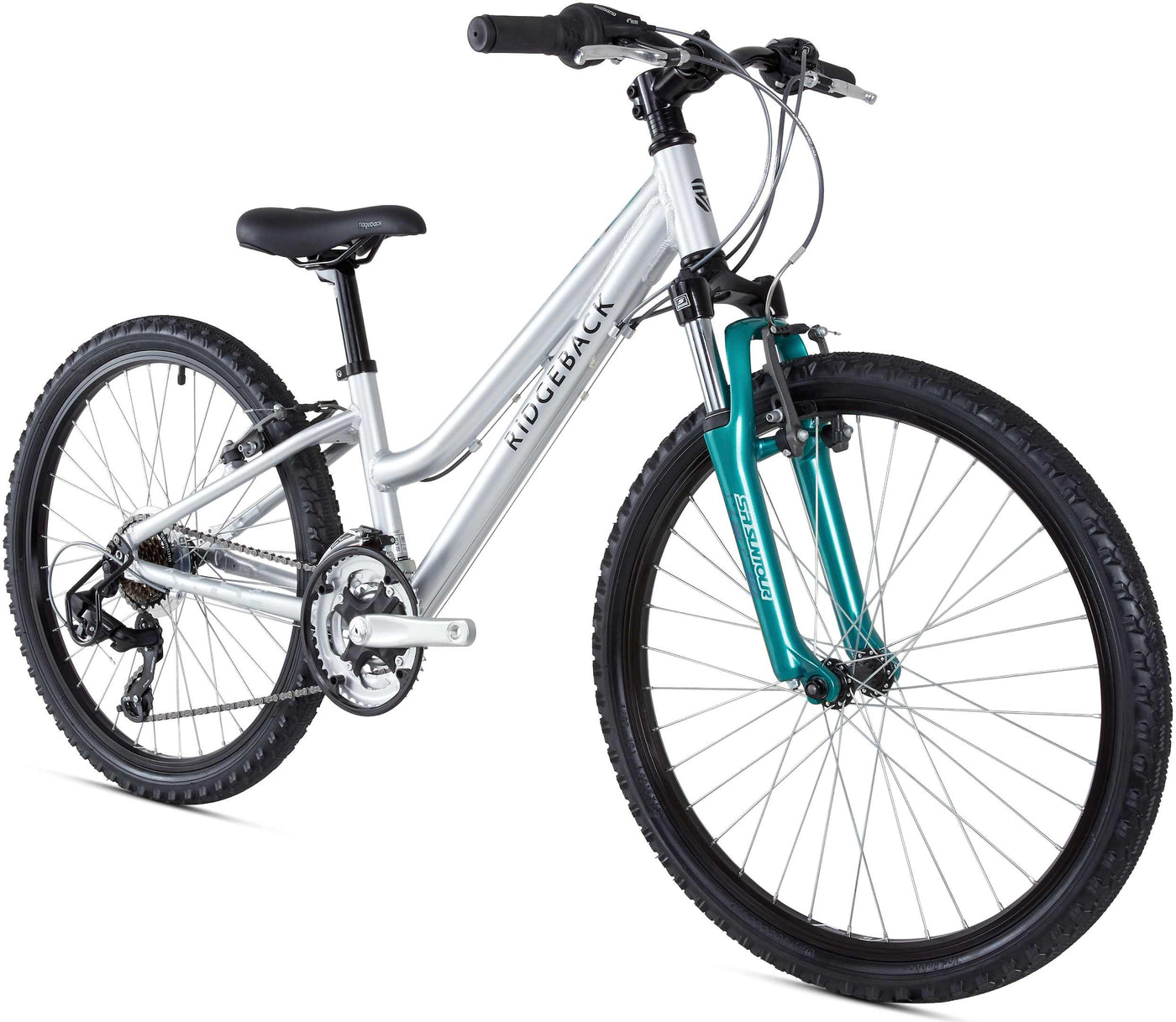 silver ridgeback bike